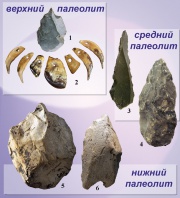 Палеолитические изделия: 1 – каменное острие-проколка; 2 – ожерелье (подвески) из зубов животных; 3, 4, 6 – каменные остроконечники; 5 – галечное орудие с выступом